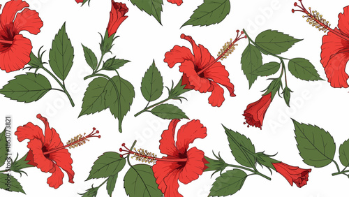 Hibiscus Flowers and Leaves Pattern.