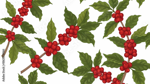 Holly Branches with Red Berries and Leaves.