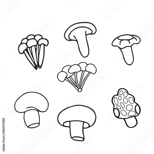 vector illustration of mushrooms