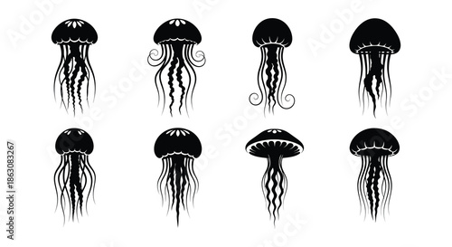 A collection of black and white illustrations depicting various jellyfish forms