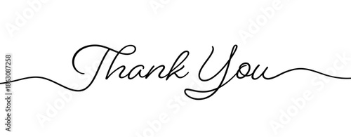 Minimal Thank You Handwritten Script with Elegant Wavy Line Divider
Black and White Calligraphy Thank You Text with Decorative Underline Vector
