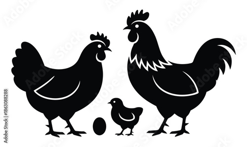 Chicken family silhouette includes rooster, hen, chick, and single egg on.