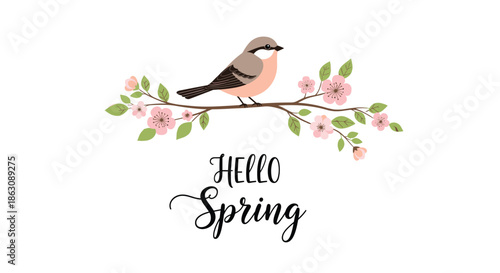 Small brown and pink bird perched on a blossoming tree branch with pink flowers and Hello Spring typography.