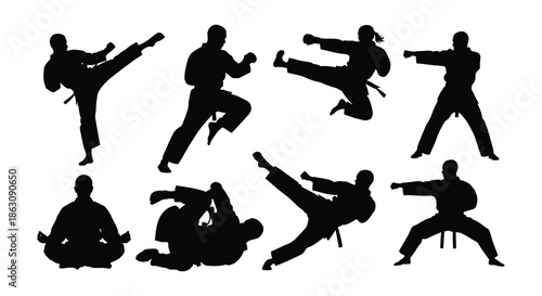Silhouettes of martial artists demonstrating various fighting stances and techniques