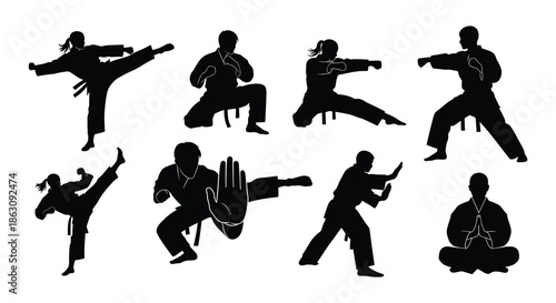 Silhouettes of martial artists demonstrating various fighting stances and techniques