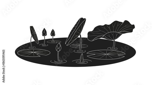 Black and White Illustration of Plants.