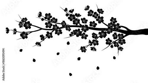 Silhouette of Cherry Blossom Branch with Flowers.