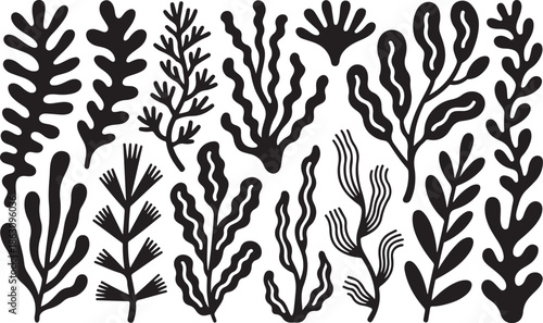 A collection of various black seaweed silhouettes on a white background