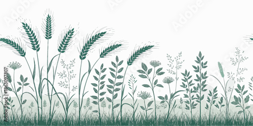 Beautiful green wheat and wildflowers growing in a field