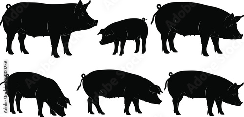 Pig silhouettes set, farm animal icons, hog boar piglet shapes, livestock agriculture design, black vector illustration isolated white background collection