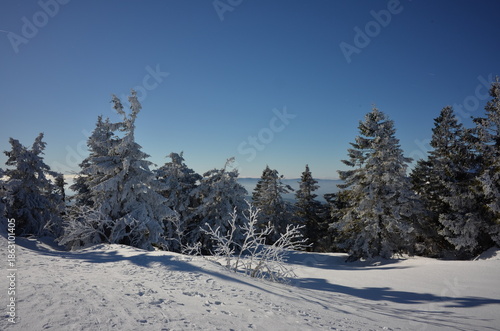 Wallpaper Mural Views from Grosser Arber in Winter Torontodigital.ca
