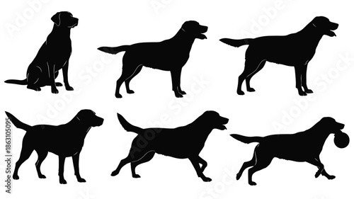 A collection of labrador retriever dog poses in black silhouette