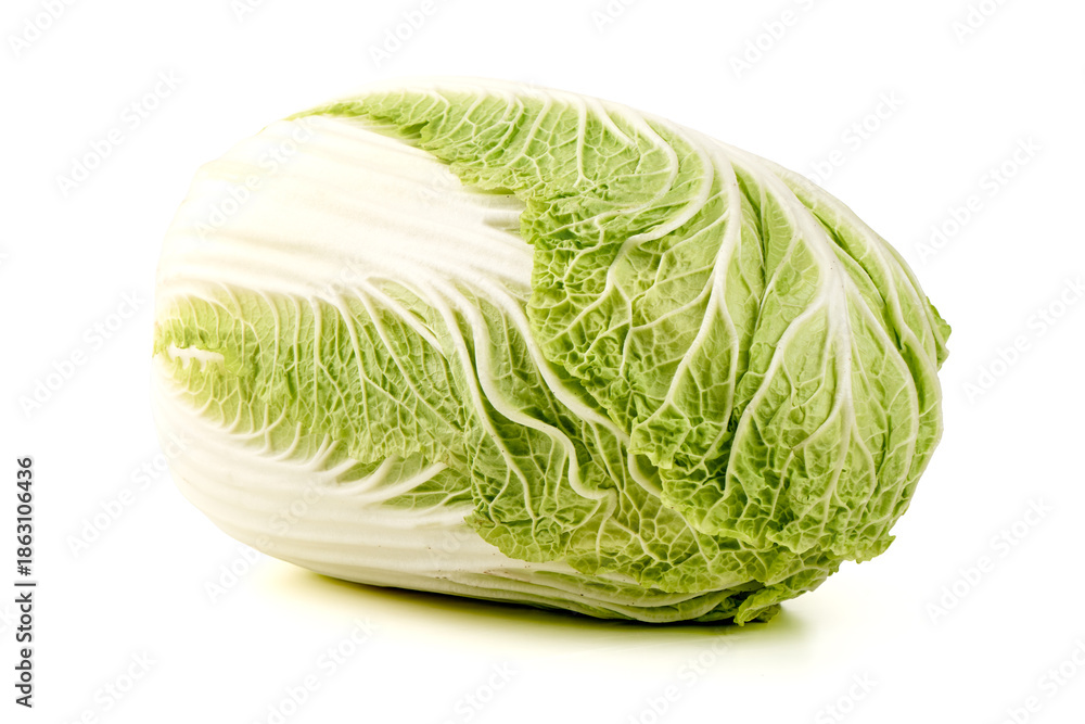 Fototapeta premium Napa Cabbage Isolated on White Background