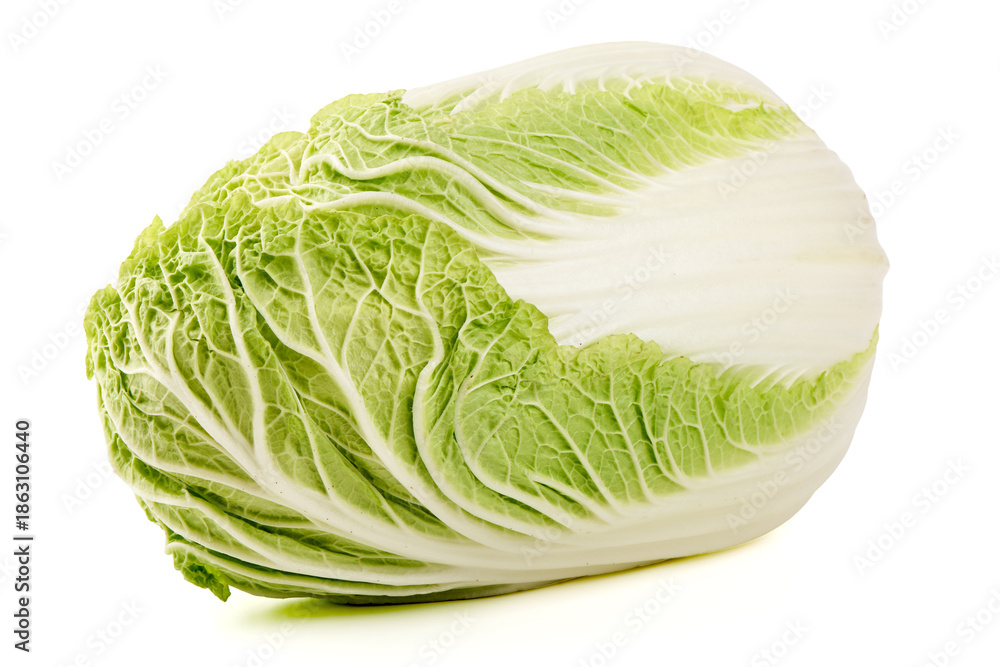 Fototapeta premium Napa Cabbage Head, isolated on white background
