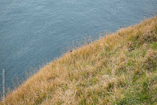 Foto A scenic view of a grassy cliffside overlooking calm waters, highlighting the beauty of nature and tranquility