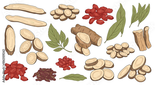 Assortment of dried herbal medicine ingredients including roots, leaves, berries, and bark pieces in a flat layout.
