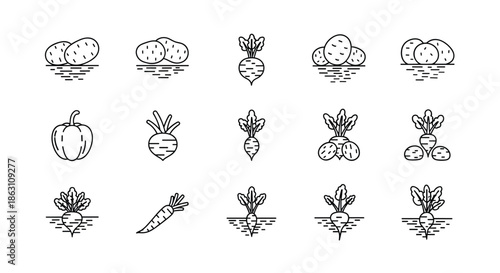 Minimalist set of black and white line icons representing various root vegetables like potatoes, carrots, and beets.