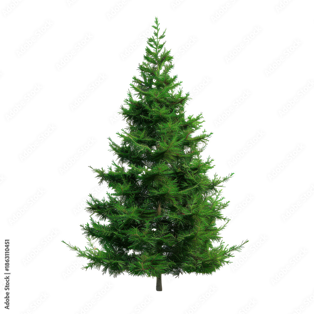 Obraz premium Realistic green Christmas tree illustration isolated on Transparent Background