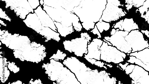 Abstract black and white pattern depicting a fractured surface with intricate crack like formations and stark contrast