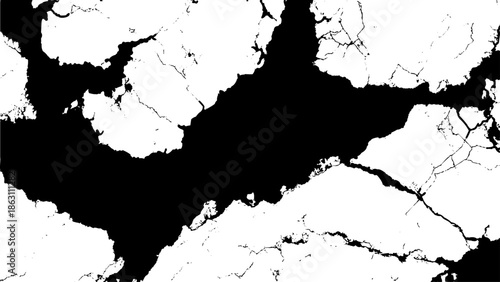 Abstract black and white texture depicting fractured patterns resembling cracked earth or marble veins high quality