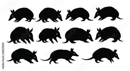 Black and white illustration depicting several armadillos in different poses