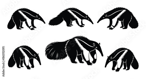 A collection of stylized anteater silhouettes showcasing their unique forms