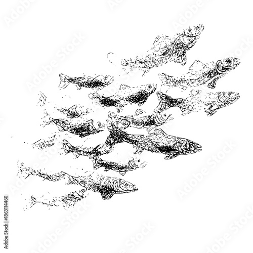 School of fish swimming together in a group with detailed line work and artistic rendering style image