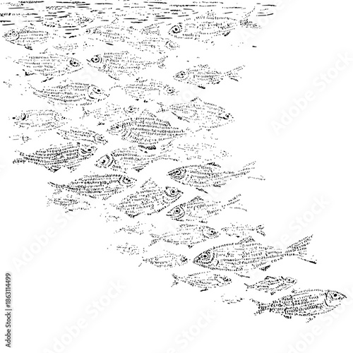 School of fish swimming together in black and white with textured bodies and detailed eyes forming a pattern