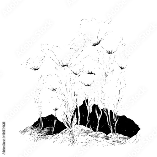 Illustration of a monochrome landscape with stylized plants and dark rocky formations in the foreground