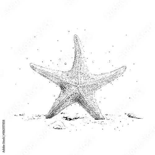 A detailed black and white drawing of a starfish standing on a sandy seabed with small bubbles around it