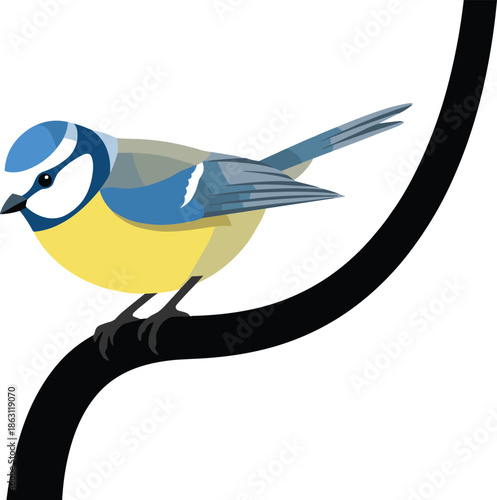 Colorful vector illustration of perched blue tit bird on branch with vibrant plumage, minimalistic design, nature theme, decorative artwork