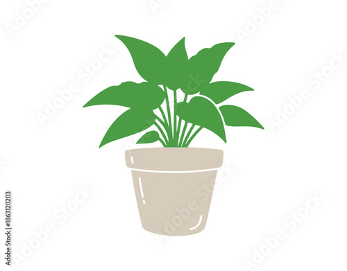 Colorful indoor plant. Doodle art of house plants in a flower pot