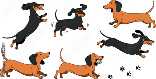Dachshund illustration set of active dogs jumping and playing