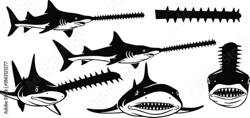 Silhouette vector set of sawfish and saw shark in varied side profiles close up frontal mouth view black and white bold isolated stencil retro minimal collection