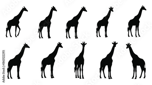 A collection of giraffe silhouettes in various poses and perspectives silhouette