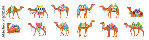Large camel illustration collection with multiple poses and colorful ethnic decorations, ideal for travel, desert culture, and traditional festival designs