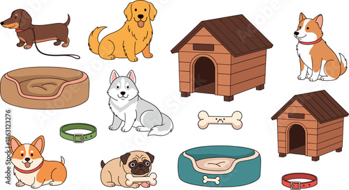 Dog illustration set with various breeds and pet care accessories