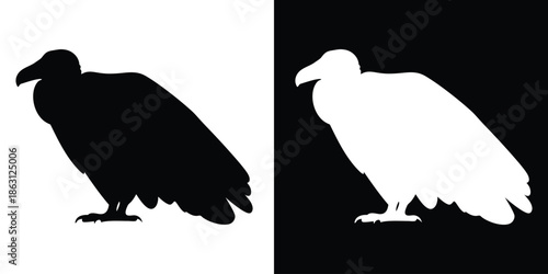 Vulture bird animal vector silhouette, Black vulture silhouette