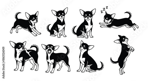 A collection of black and white chihuahua illustrations in various poses