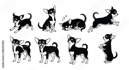 A collection of black and white chihuahua illustrations in various poses