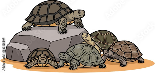 Five cartoon turtles gather on a sandy ground near a grey rock