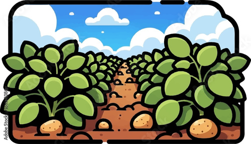 Rows of green potato plants grow in a field under a bright blue sky with fluffy clouds