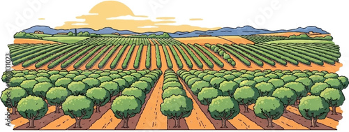 Lush green orchards stretch under a warm sun and rolling hills