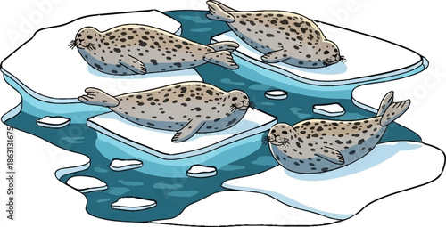 Four spotted seals recline on ice floes in icy blue water