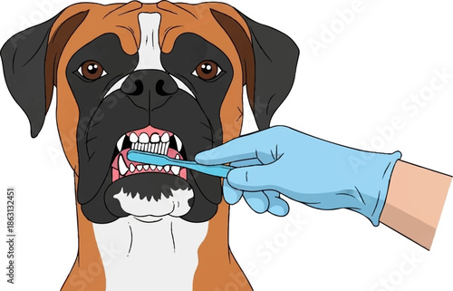 Illustration of a brown and black dog getting its teeth brushed by a gloved hand with a blue toothbrush
