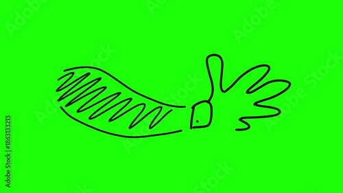 doodle hand-drawn hand on green screen