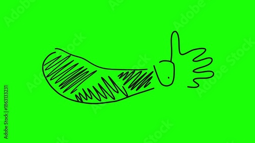 doodle hand-drawn hand on green screen