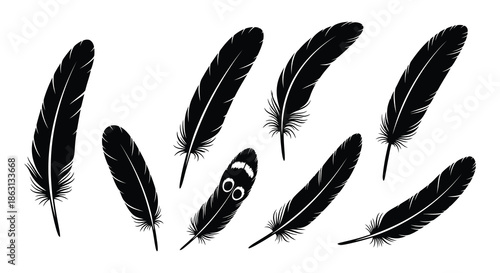 A collection of black feathers displayed against a plain white background