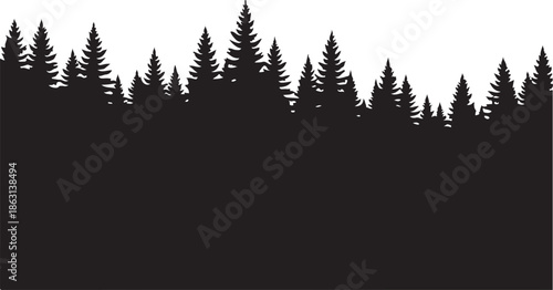 Silhouette of forest trees