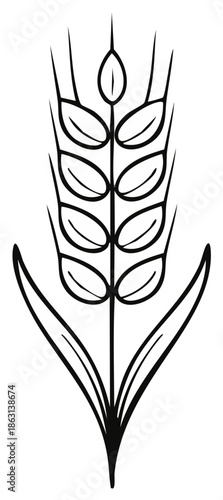 Single wheat stalk with leaves and grains hand drawn illustration